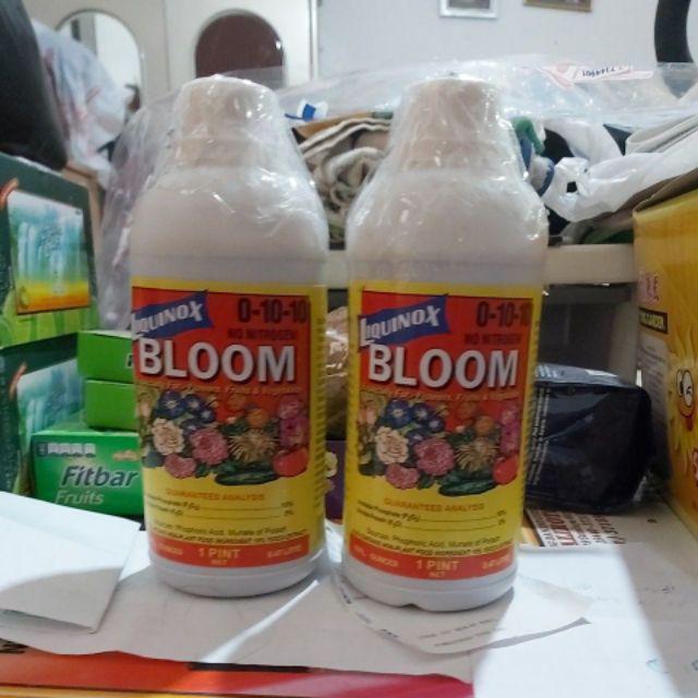 Pupuk Liquinox Bloom ( 0-10-10 ) - 470 Ml
