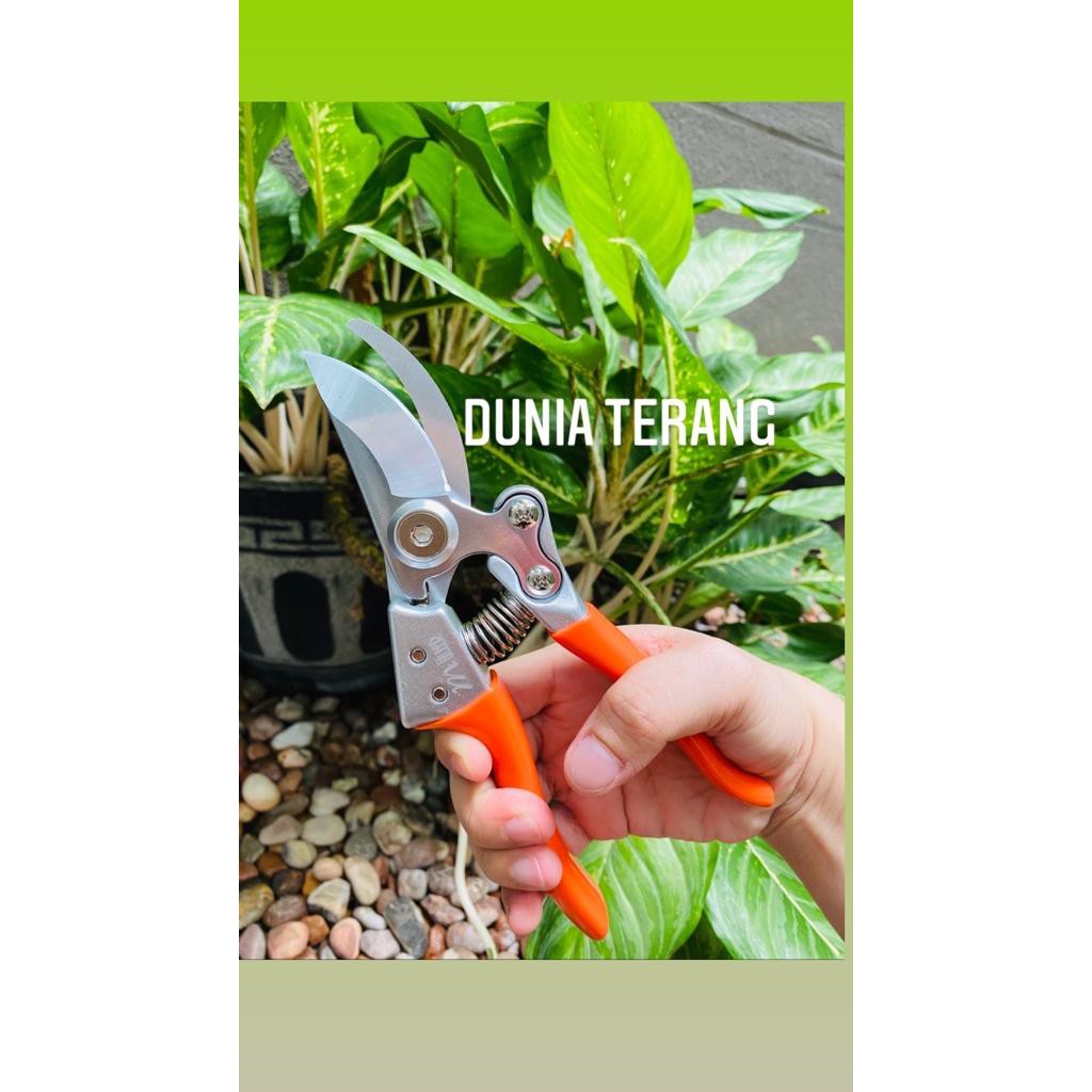 Gunting Stek MULLER Gunting Dahan Ranring Bonsai Prunning Shears - ML-301A