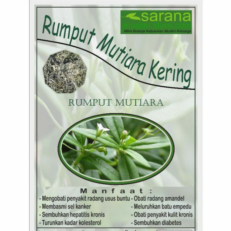 

Rumput Mutiara Kering 250gr Asli Banyak Manfaat