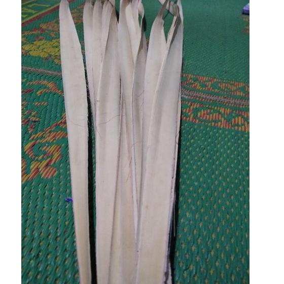 [PRODUK MKKJB] Daun Lontar Siap pakai Bahan Kepikan Slompret 15 lembar per ikat VD8
