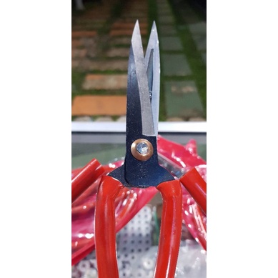 

gunting tajam dan runcing