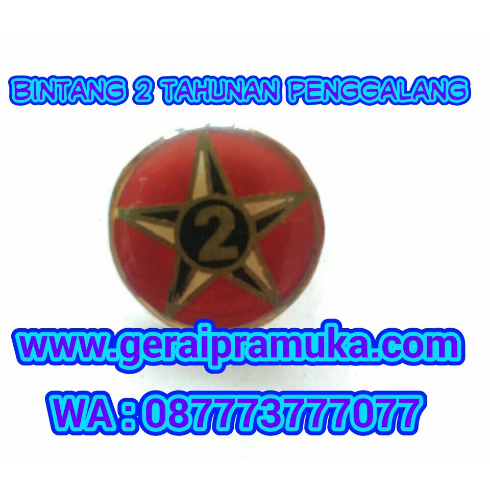 Pin Bintang 2 Tahunan Penggalang