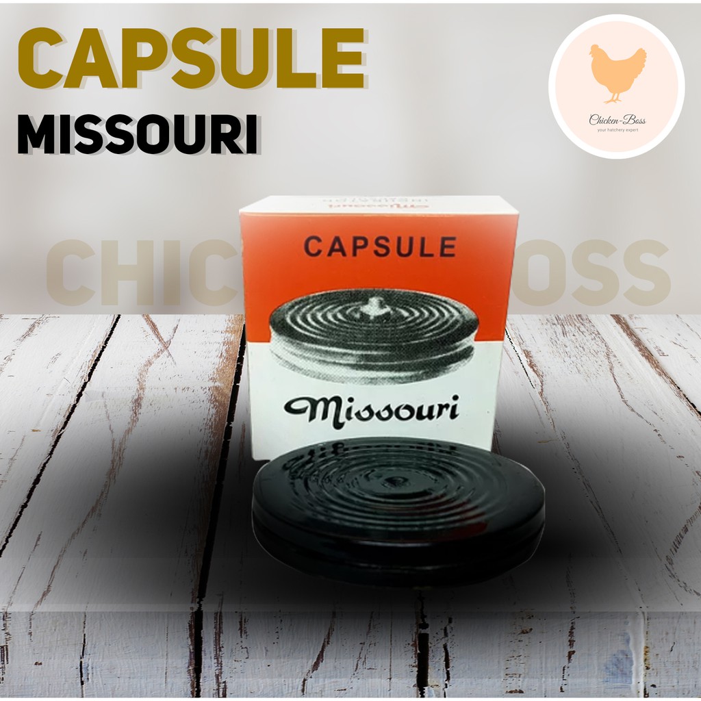 Capsule Thermostat Missouri untuk Mesin Tetas Telur Ayam Bebek Burung