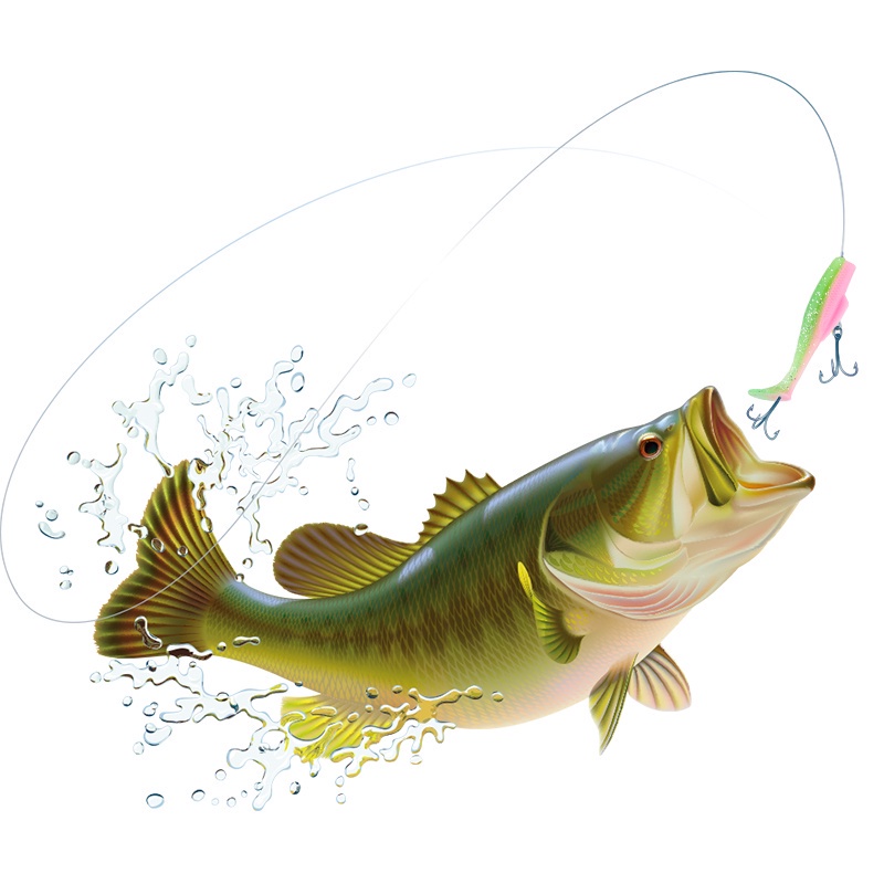 6pcs / Kantong Umpan Pancing Tiruan Bentuk Cacing Bahan Plastik Silikon Lembut 8cm / 5g 12 Warna