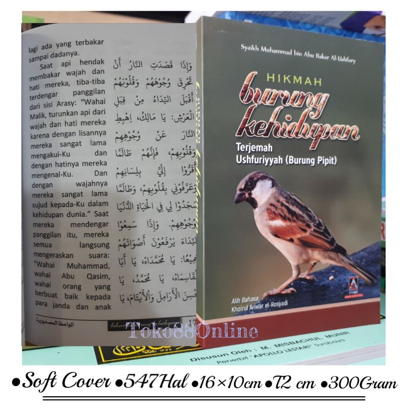 HIKMAH BURUNG KEHIDUPAN terjemah ushfuriyyah (burung pipit)