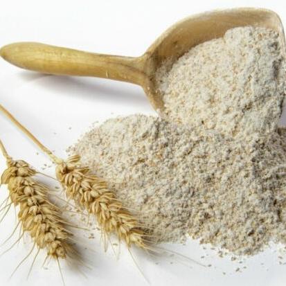 

TERLARIS Organic Vital Wheat Gluten 1Kg / Tepung Gluten Halal 1Kg