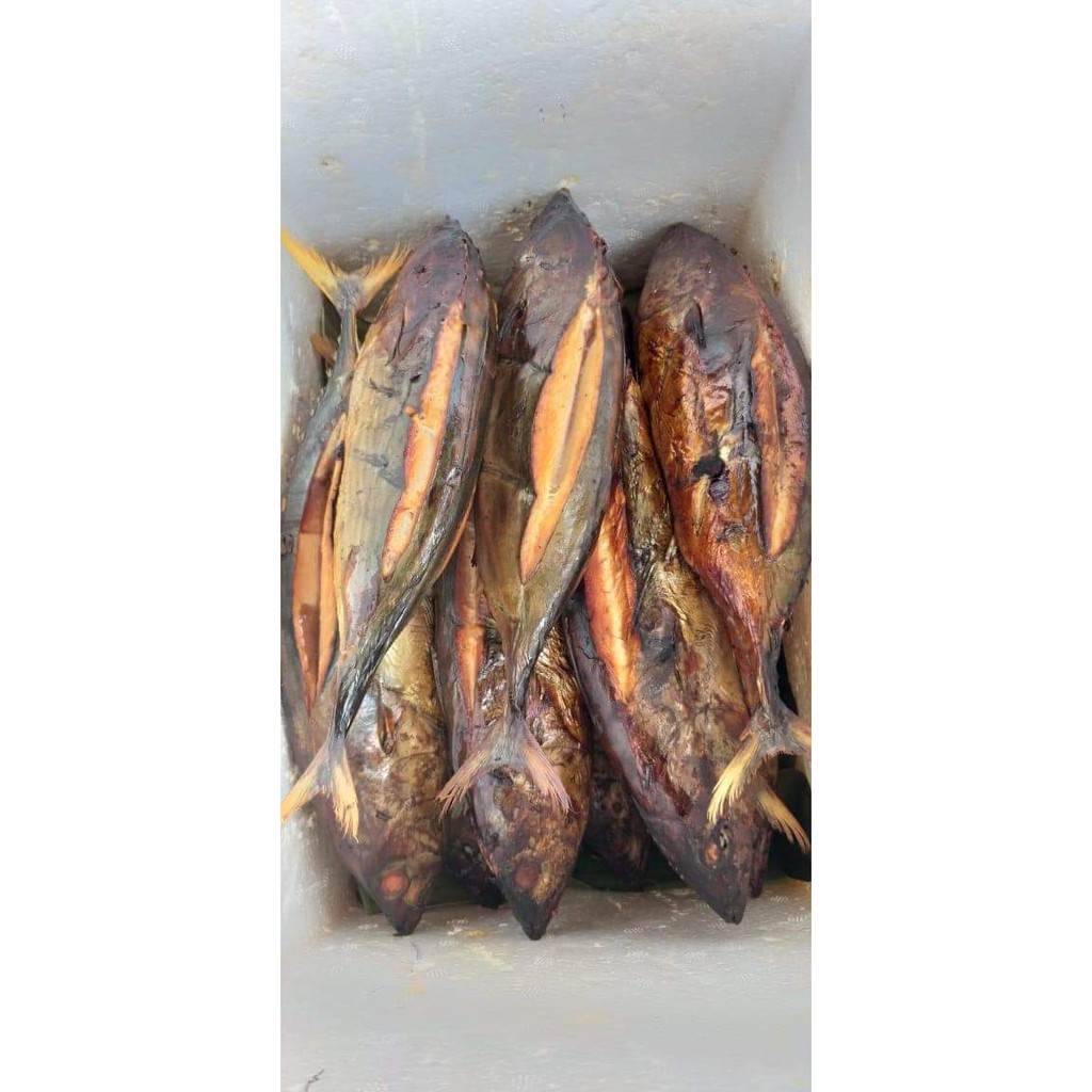 

Ikan Asap Cakalang MURAH SURABAYA ISI 2 ekor