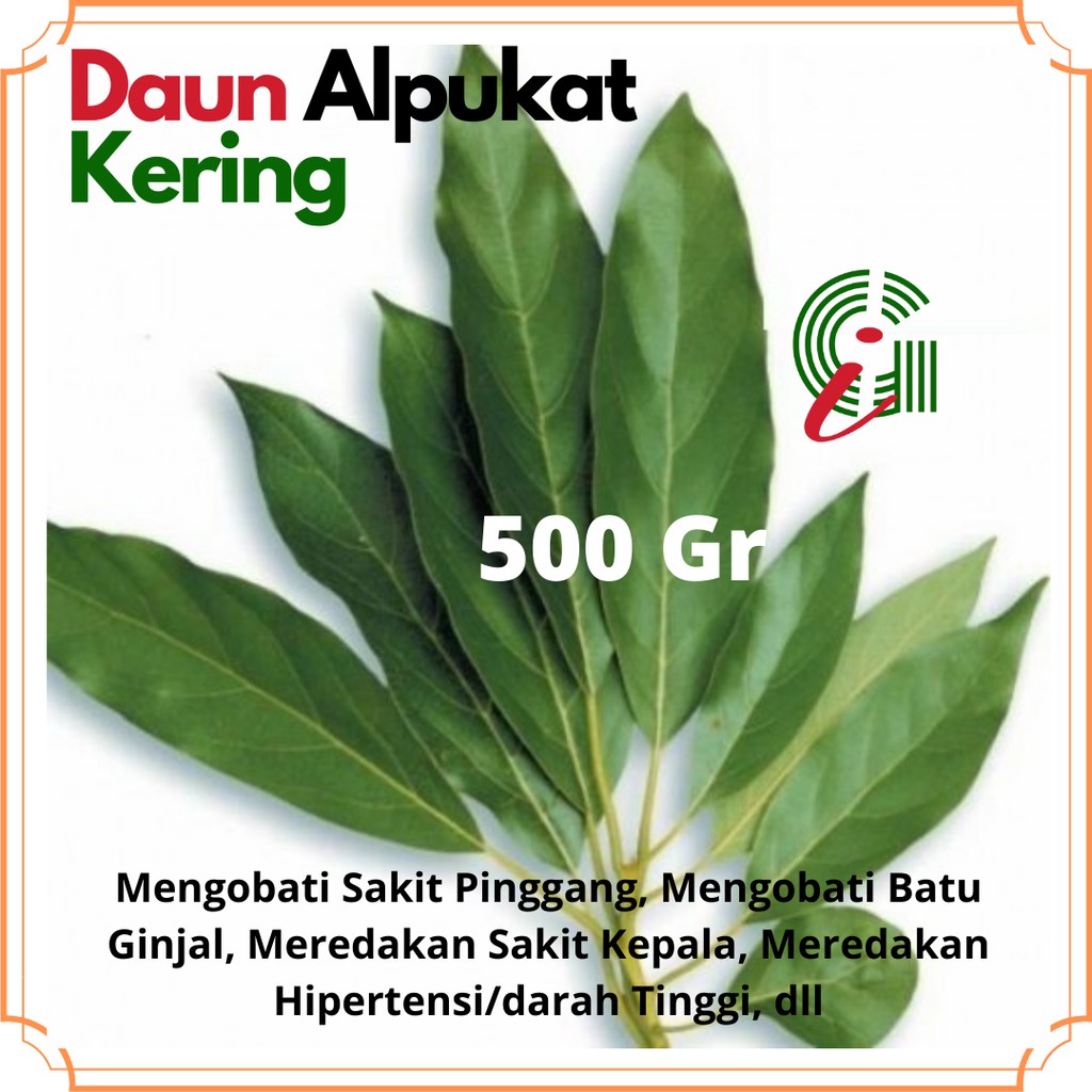 

OBAT BATU GINJAL!! Daun Alpukat Kering 500Gr, Persea Americana, Obat Sakit Pinggang Darah Tinggi