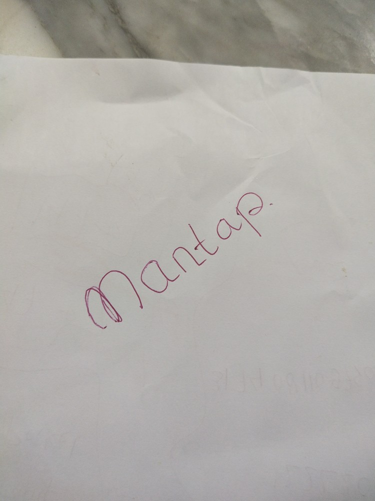 Gantungan Imlek / Hiasan Sincia / Gantungan Sincia / Gantungan Pohon Sakura