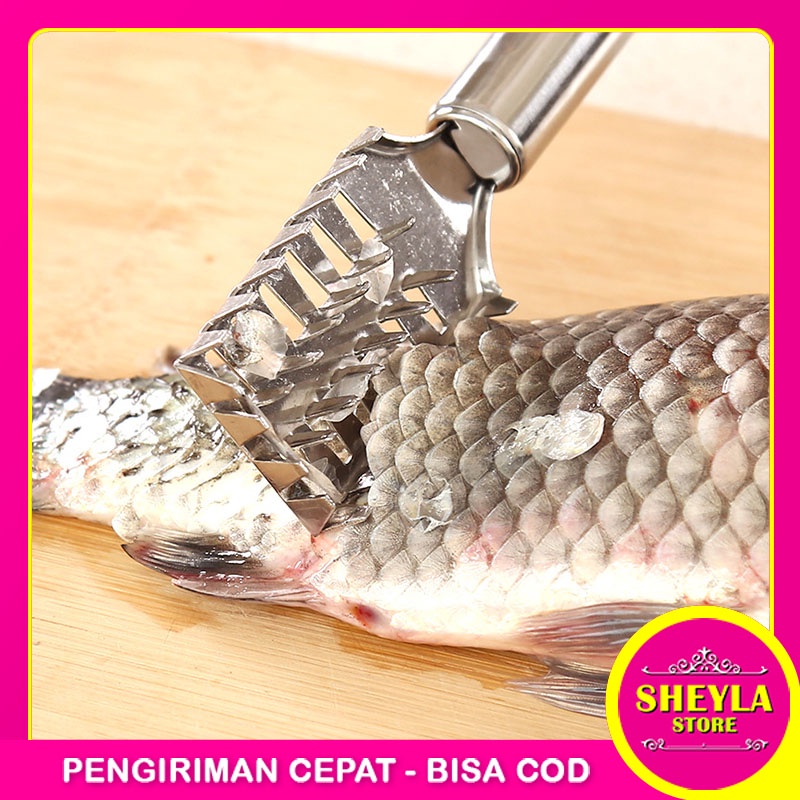 Alat Pembersih Sisik Ikan Stainless Steel / Pengerok Pengeruk Sisik Kulit Ikan Anti Karat Bahan Besi TV-47