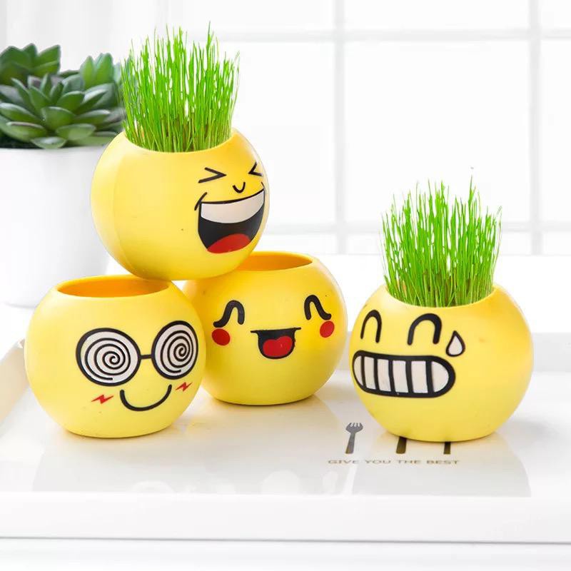 READY STOCK!!Pot Rumput Mini Emoticon/Pot Bunga Mini Plant Kantor Lucu