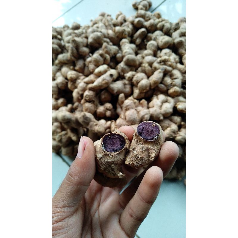 Kunyit Hitam Asli 1kg purwandix