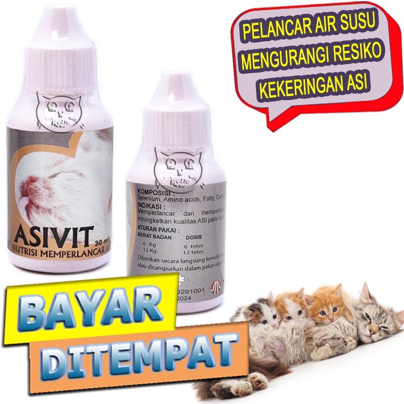 Asivit Vitamin Menyusui Kucing Pelancar Air Susu