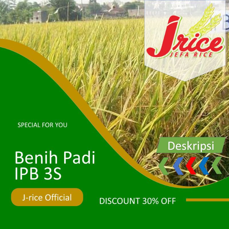 BENIH PADI IPB 3S BIBIT PADI UNGGUL 5KG MURAH
