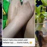 HANDBODY LOTION PEMUTIH ANGGUR ORIGINAL