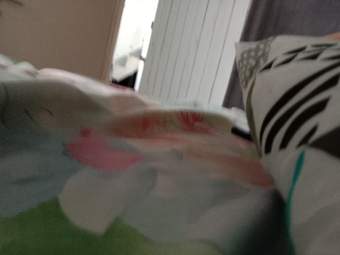 Set Kasur Springbed 2in1 Sorong Bella Spring Bed Garansi 10 Tahun