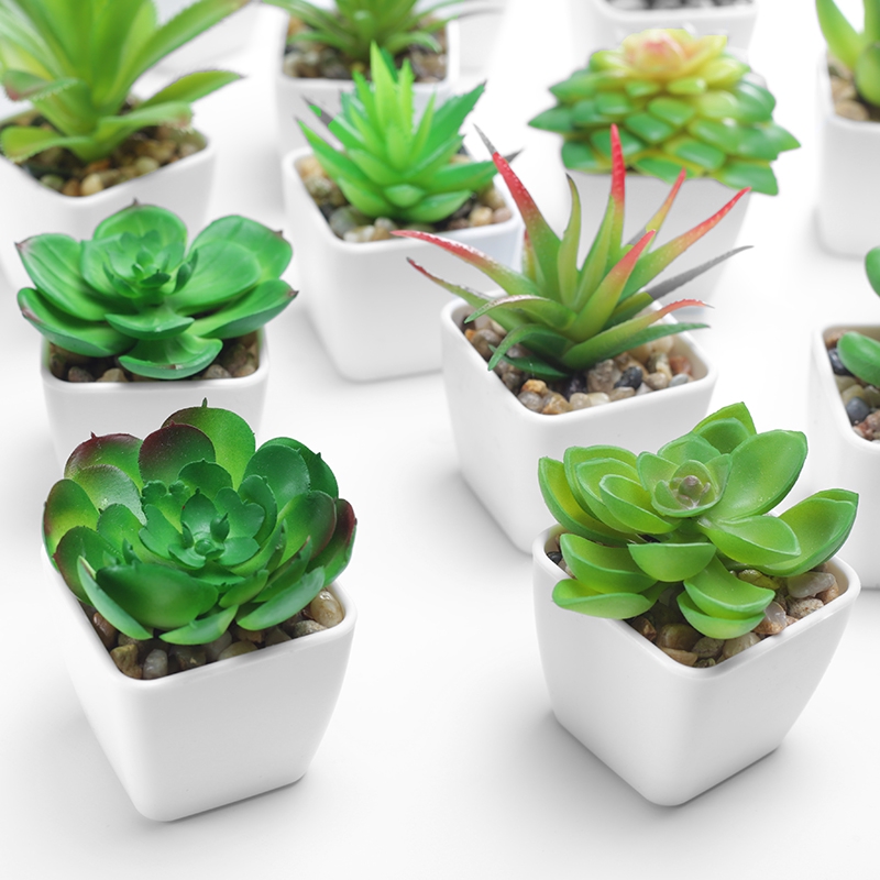 Simulasi Succulents Tanaman Pot Kecil Ruang Dalam Ruangan Tamu Bunga Buatan Bunga Buatan Tanama Shopee Indonesia