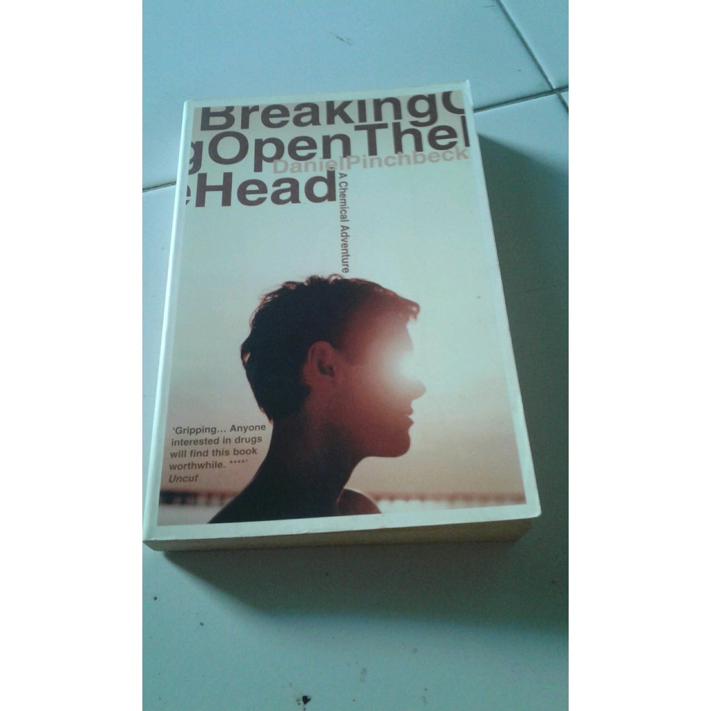 

ORIGINAL Breaking Open The Head - Daniel Pinchbeck