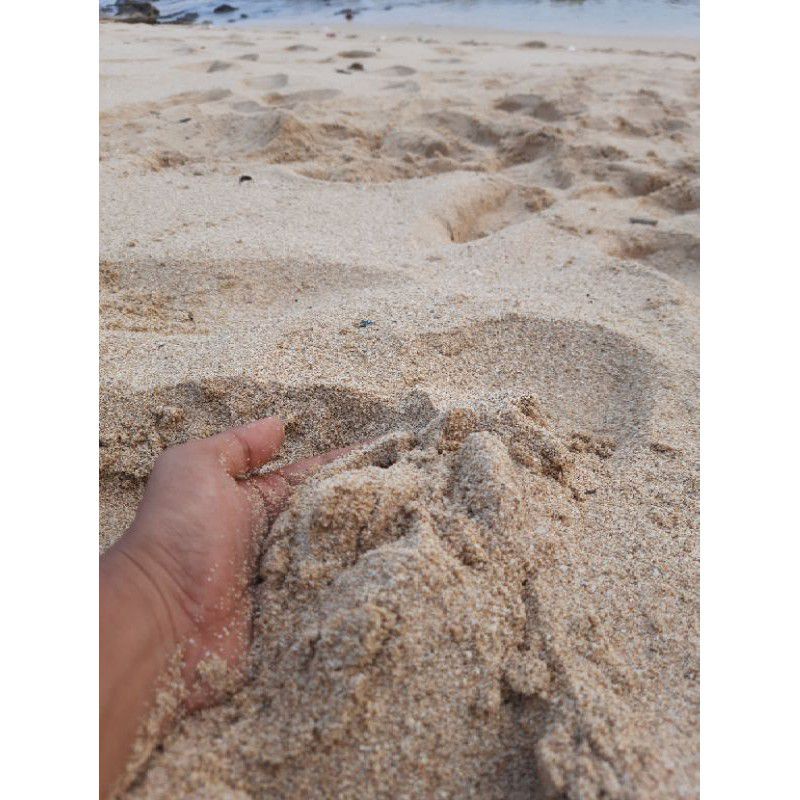 Pasir Laut Putih 1 Kg