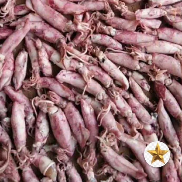 

[COD] ikan cumi asin [COD]