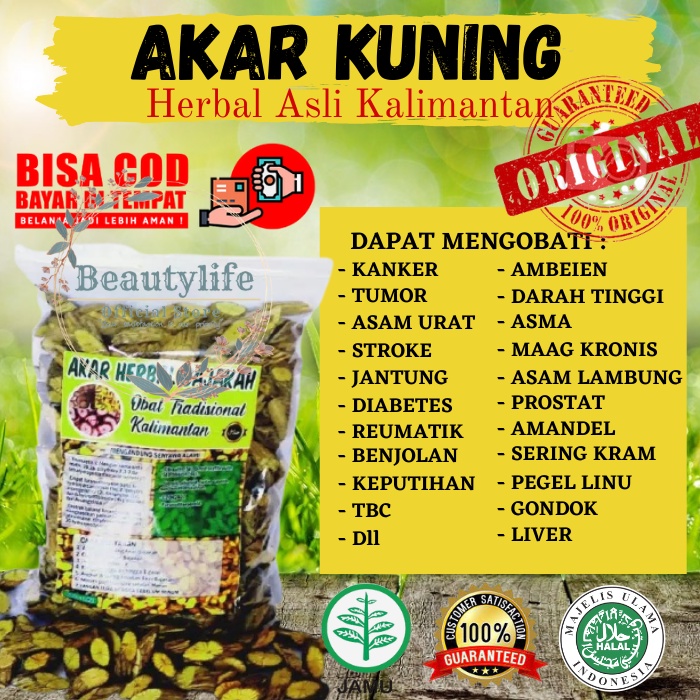 

[BL] - Akar Bajakah Asli Kalimantan Akar Kayu Bajakah KUNING Mencegah Liver dan Hepatitis
