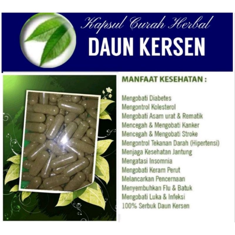 kapsul daun kersen/cery isi 100
