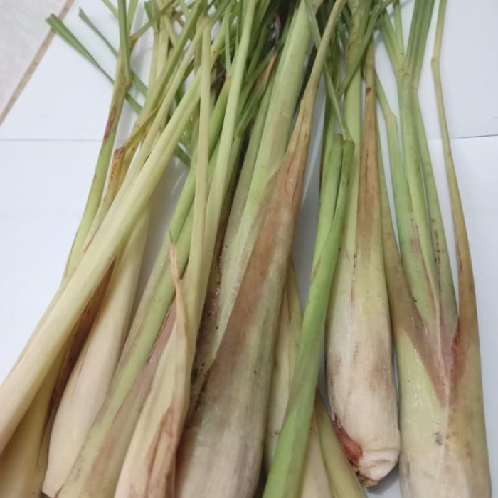 

Fe0Ggg Daun Sereh Serai Fresh 500Gram 75djbfv