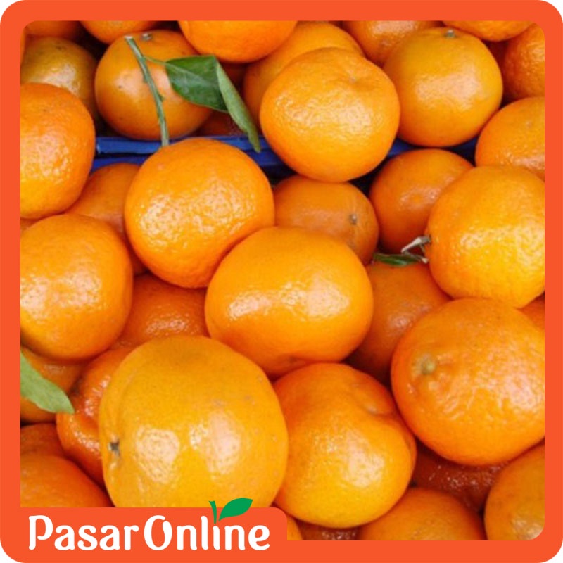 

Jeruk Sunkist Import