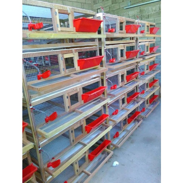 TEMPAT MINUM PUYUH OTOMATIS NIPEL NIPPLE PUYUH