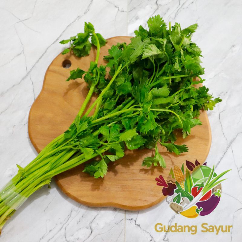 

Gudang Sayur - Daun Seledri 1 ikat