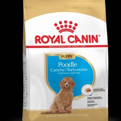 RC POODLE PUPPY 3KG / RC POODLE PUPPY 3KG / RC POODLE JUNIOR 3KG / RC POODLE / ROYAL CANIN PUPPY