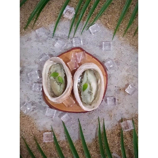 

Kerang abalone Segar 500 Gram isi 30 pieces