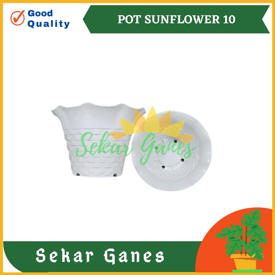 POT SUN FLOWER MDN 10 CM MOTIF BATA POT BUNGA SUNFLOWER WARNA WARNI - pot kaktus mini lucu