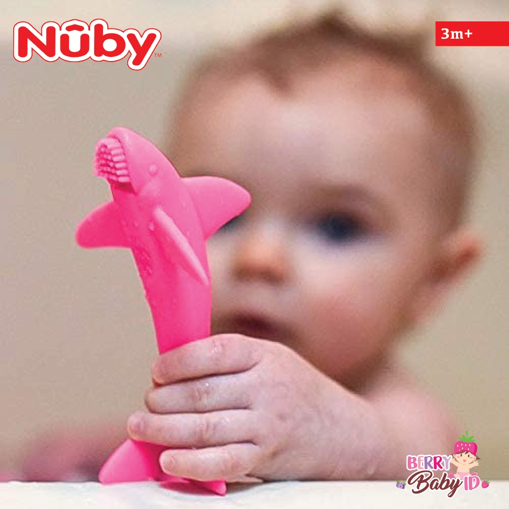 Nuby Sensory Toy Lil Shark Teether Sikat Gigi Bayi Anak Mainan Sensori Berry Mart