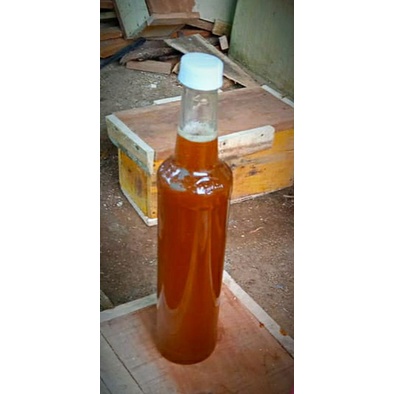 

Madu klanceng asli murni 100%