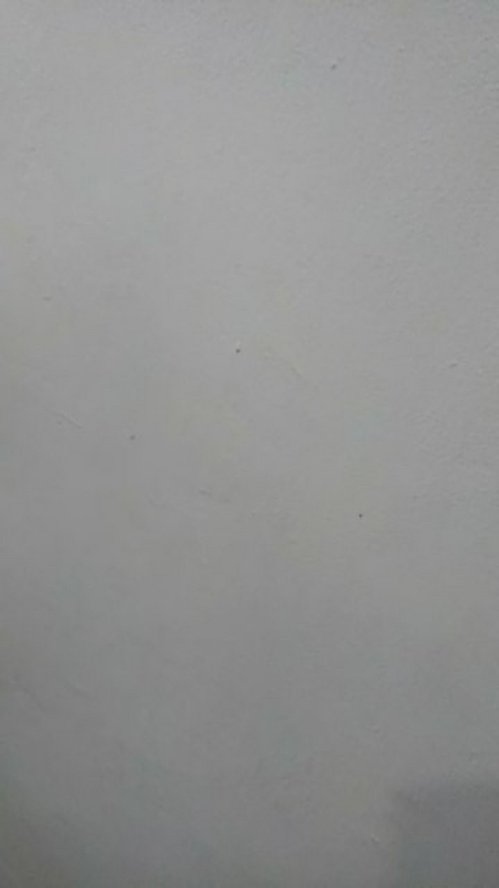 Tey-17 Batik Wanita Asj Sa Hrb026 Kenongo Kemeja Tosca Pendek