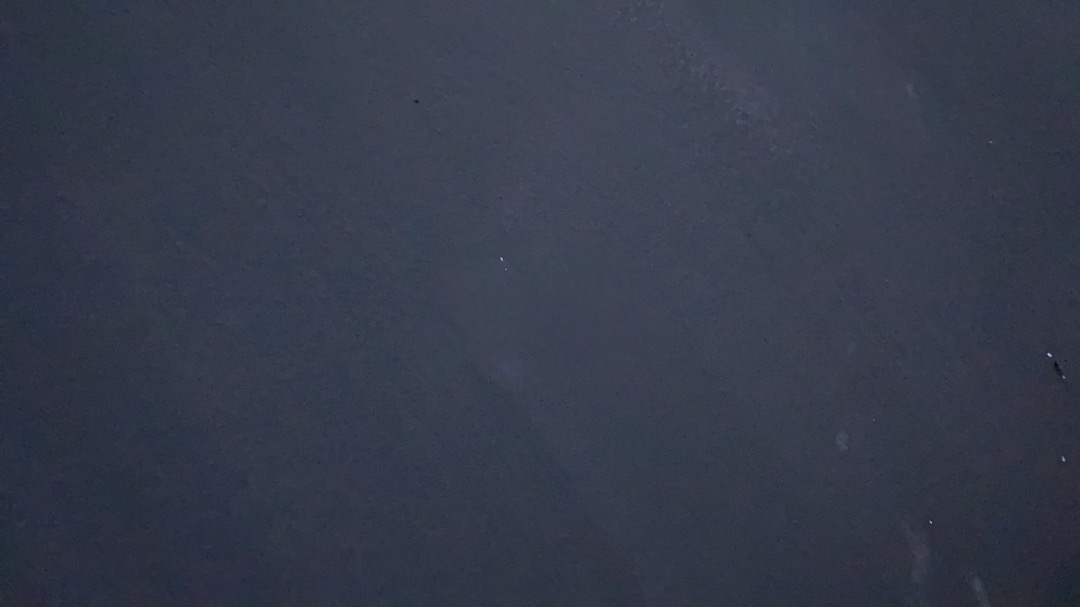 Botol Minum Kaca / Botol Jamur / Botol Tumblr / My Bottle Mushroom