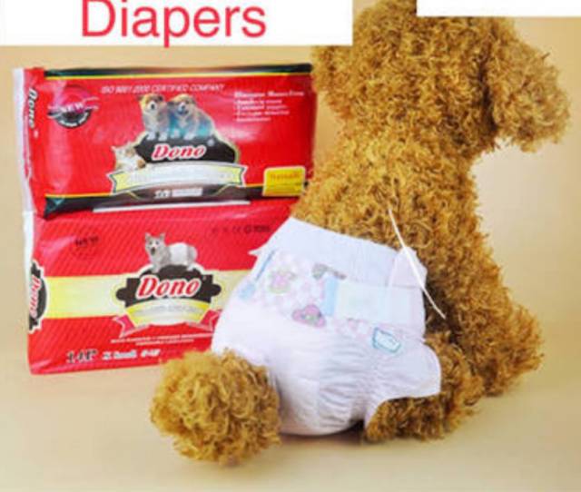 Diapers Pampers Popok Celana hewan Loops Mens Anjing kucing Betina diaper