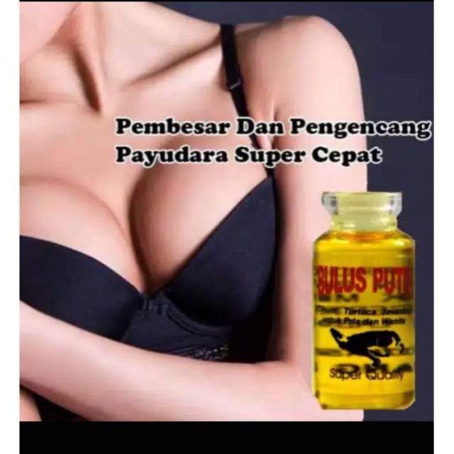 minyak bulus herbal pembesar payudara pembesar bokong