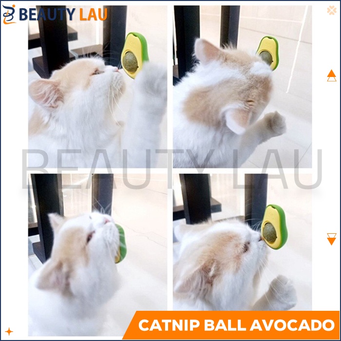 CATNIP KUCING BALL AVOCADO ALPUKAT CATMINT BOLA CATNIP BALL TEMPEL PUTAR MAENAN MAINAN UNTUK KUCING