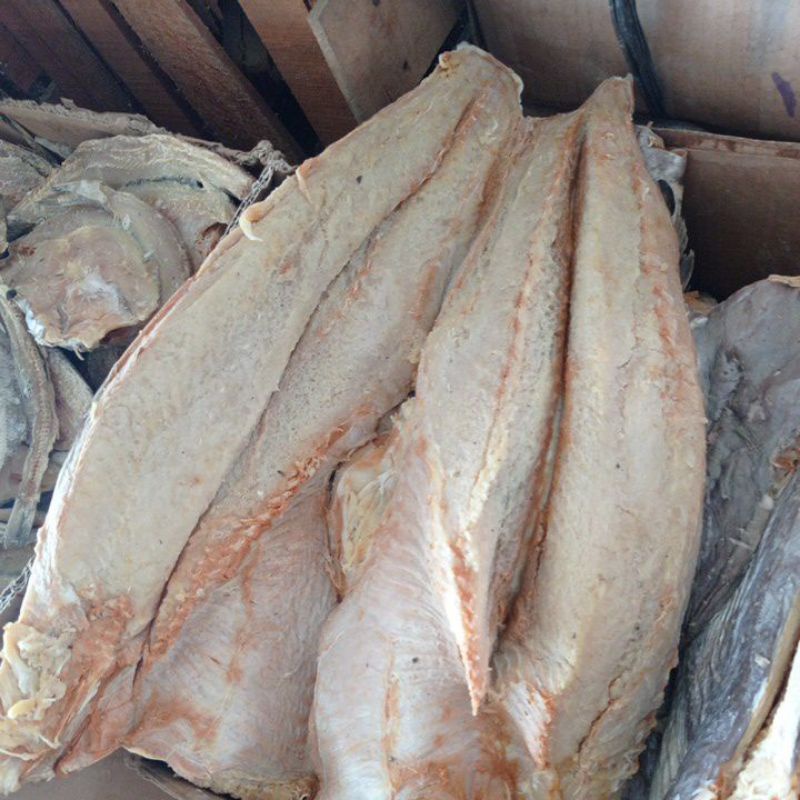 

IKAN JAMBAL ROTI 1KG