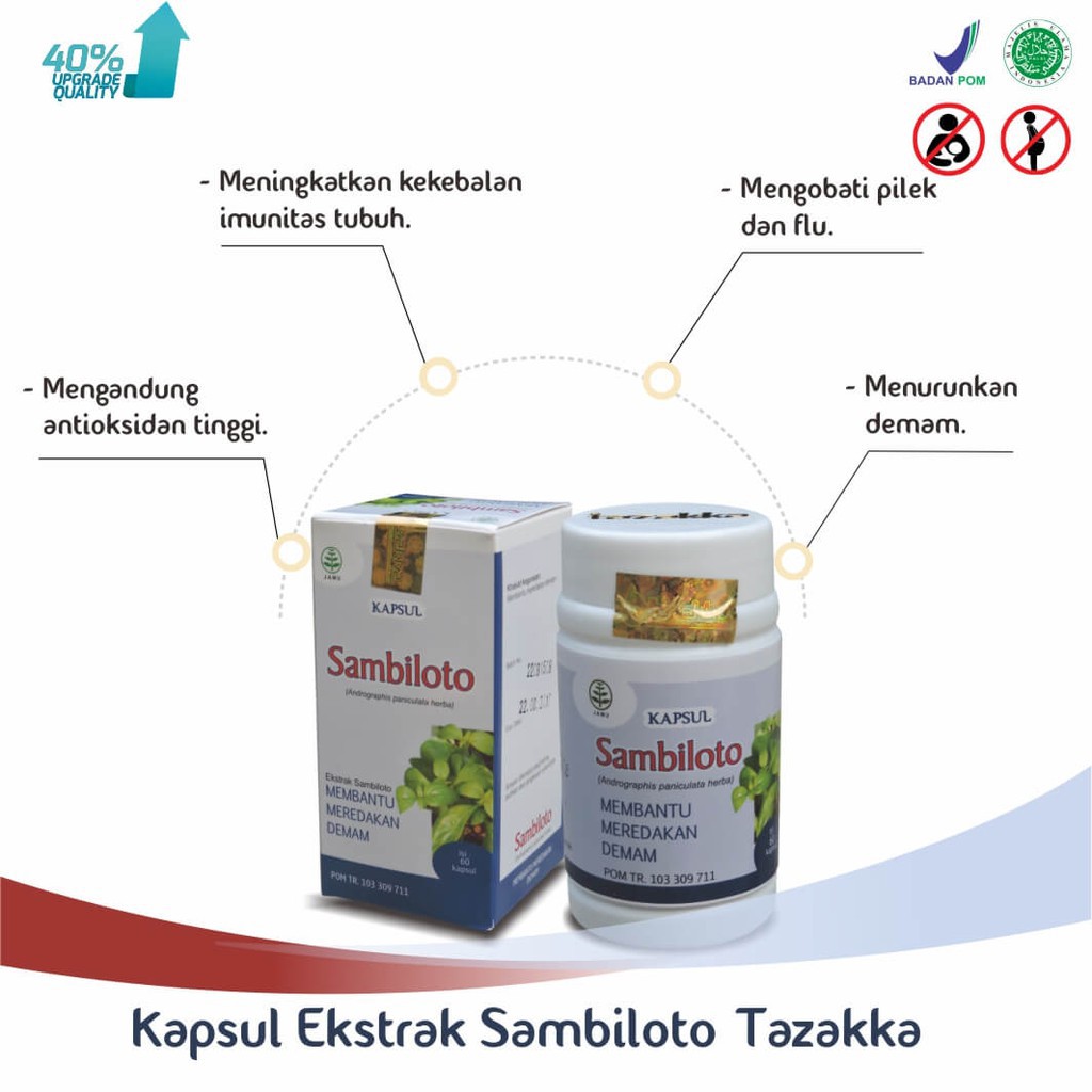 TAZAKKA SAMBILOTO  KAPSUL HERBAL 60 KAPSUL | EKSTRAK DAUN SUPLEMEN DAYA TAHAN TUBUH