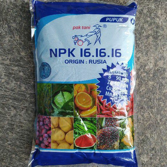  Pupuk Npk Mutiara 161616 Meroke Terbaik 1 kg Shopee 