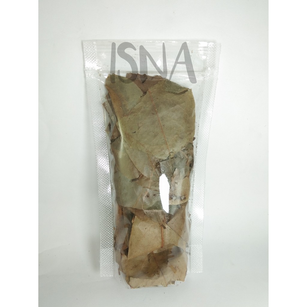 

Daun Sirsak Kering/ Daun Sirsak Utuh/ Soursop Leaf / Dried Soursop Leaves