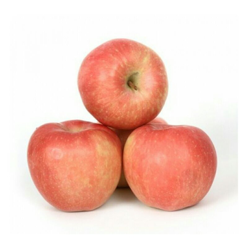 

Buah Apel Fuji 500 gr - Gerobak Sayur Palembang