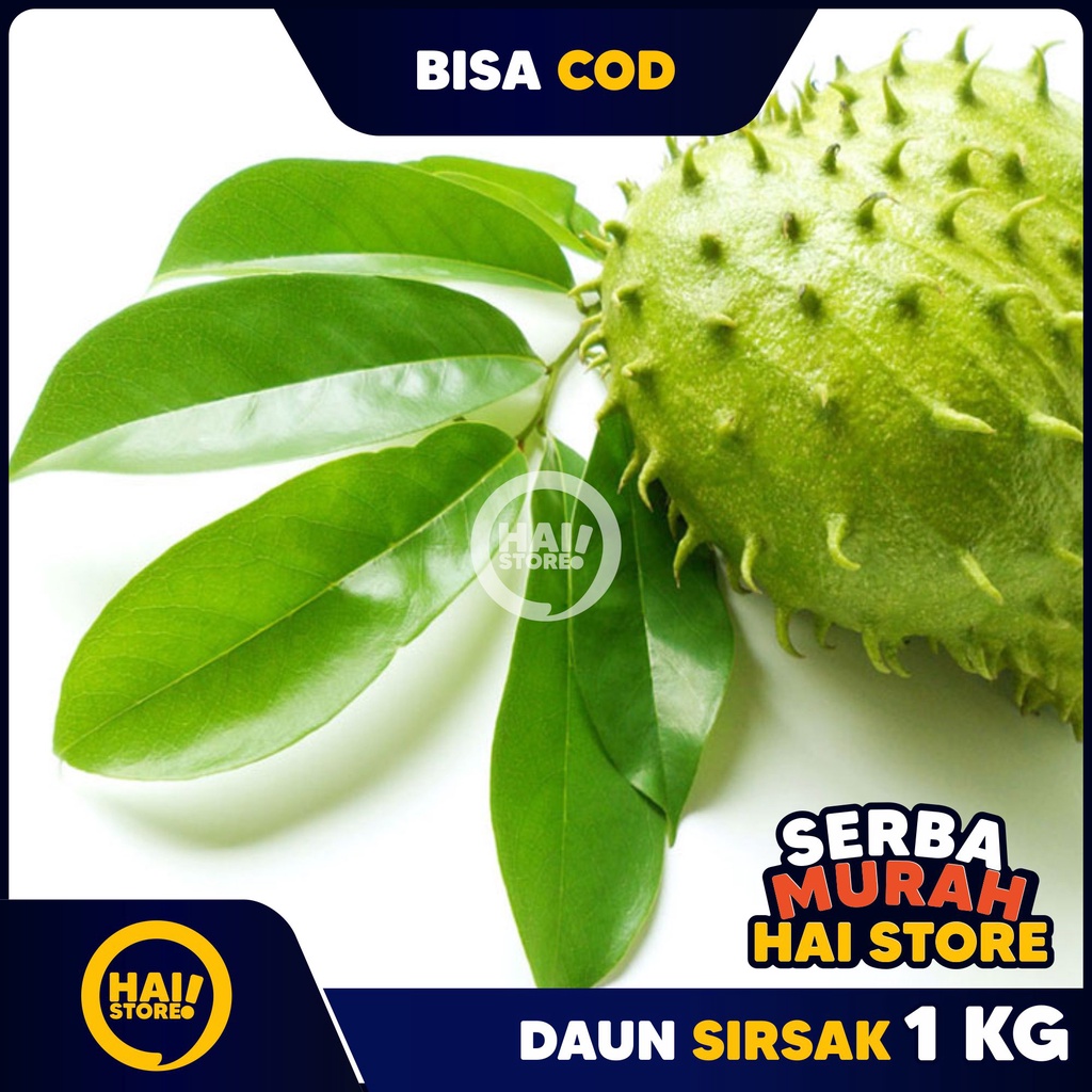 

daun sirsak segar 1kg HAI STORE