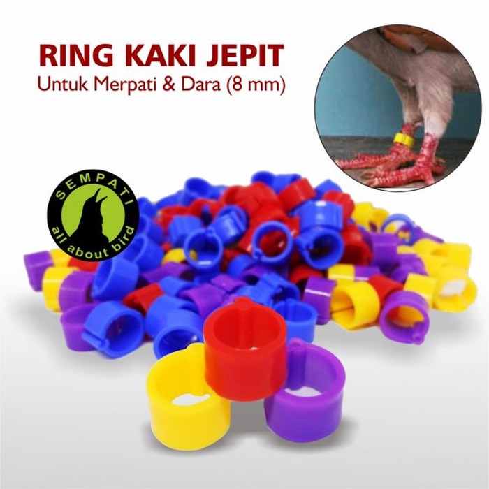 RING JEPIT PLASTIK POLOS 8 MM GELANG KAKI BURUNG MERPATI DARA