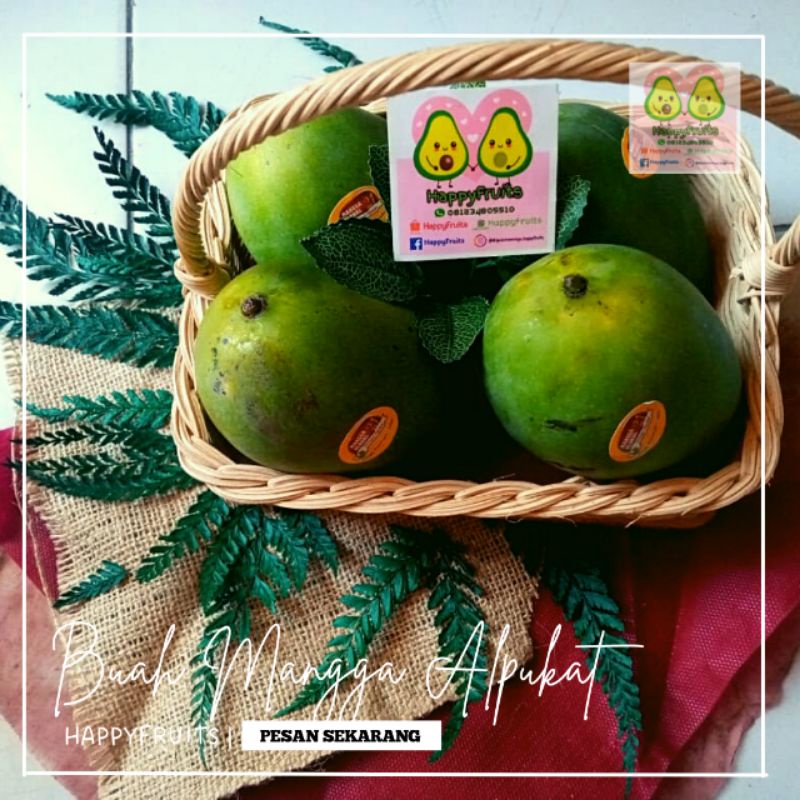 

BUAH MANGGA ALPUKAT HAPPYFRUITS 1KG