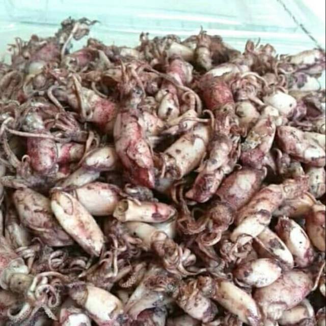

Baby cumi asin 100gr