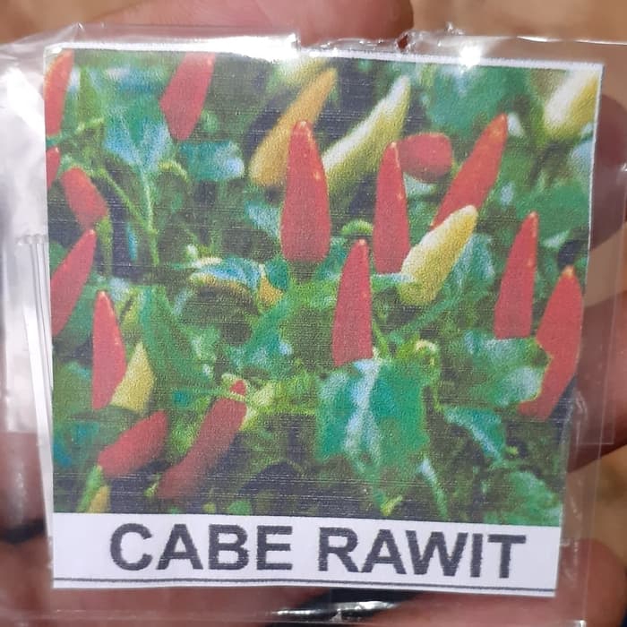 Benih Cabe Rawit 50 Biji /Bibit Cabe Rawit 50 Biji